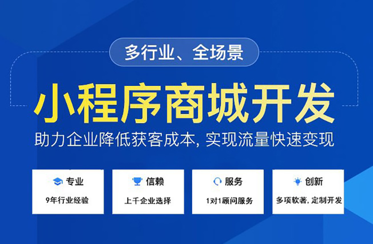 平臺(tái)公司定制小程序開發(fā)